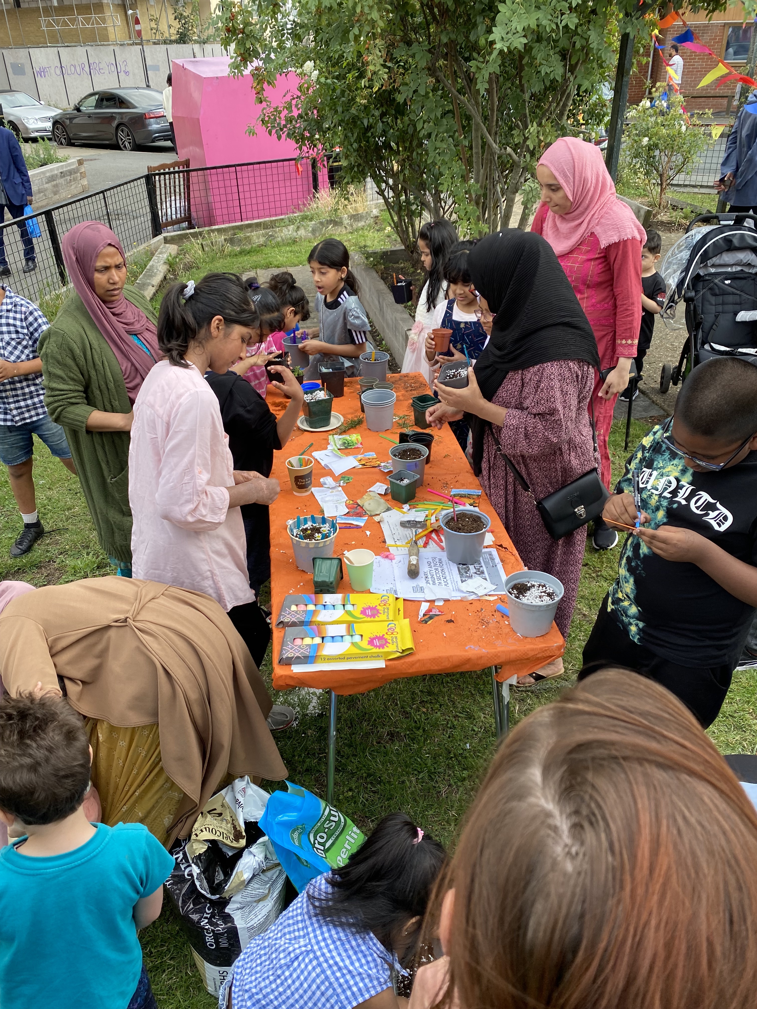 Planting seeds and looking for bugs