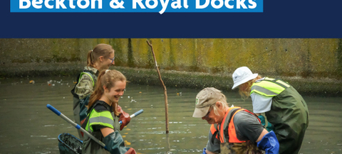 The image shows four people wearing waders and safety vests working in a body of water near a concrete wall. They are holding nets and tools, appearing to be engaged in some form of environmental cleanup or maintenance activity. The background features the text "People Powered Beckton & Royal Docks" with the logo "Newham London" in the top right corner.