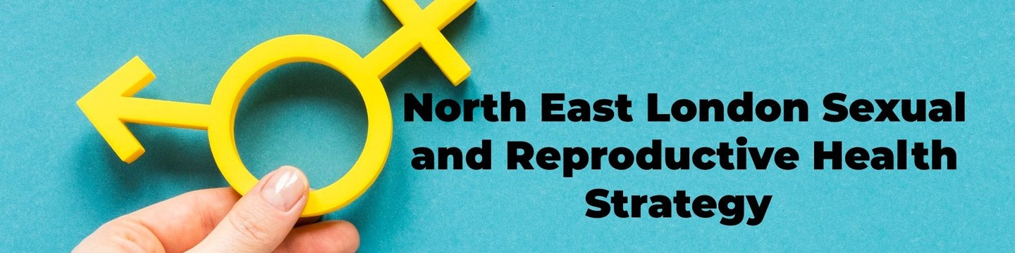 Project North East London NEL Sexual Health Strategy