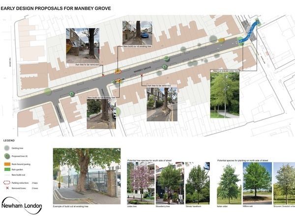 Drawing showing proposed tree works on Manbey Grove