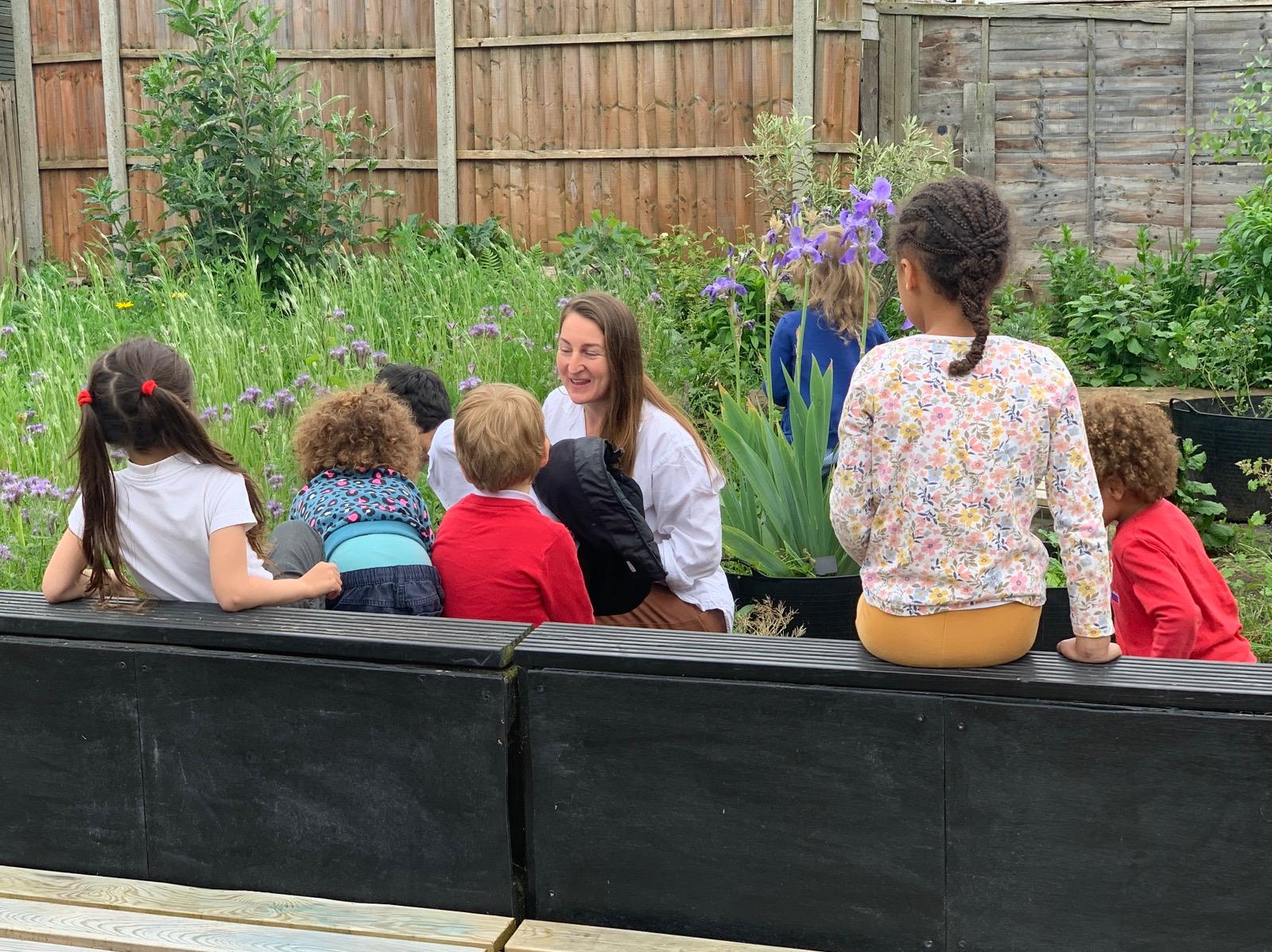 we investigated the wildflower bed to learn about pollination