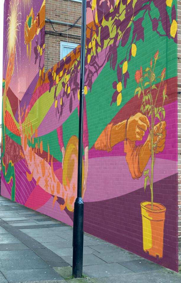 Project: COLOURS OF GREEN STREET