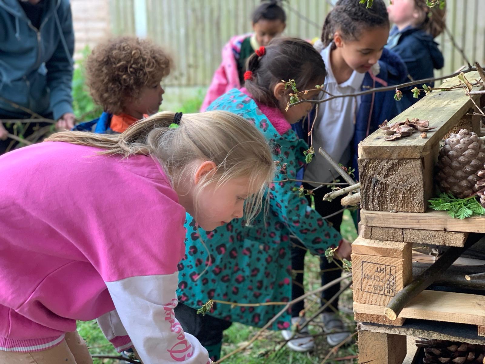 the children furnished the bug hotel, and check every week to see who has moved in
