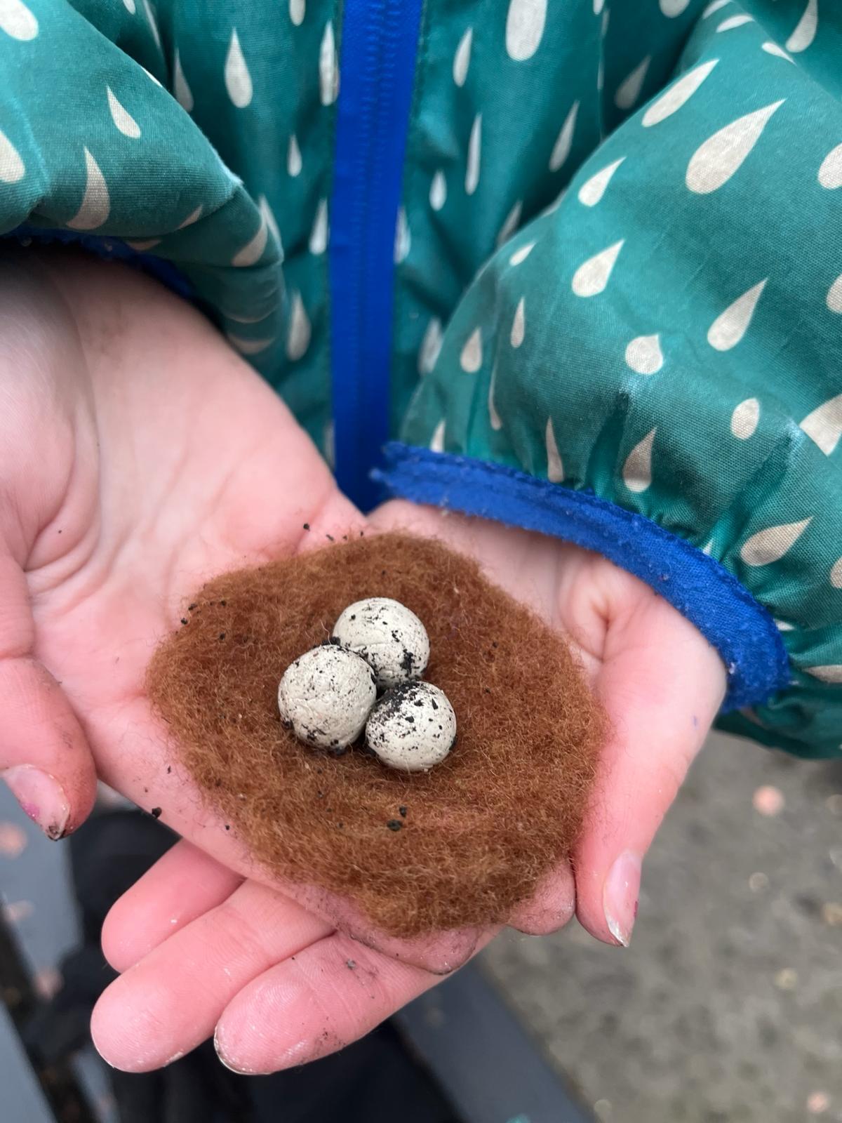 to understand how strong birds need to make nests, we pulled apart felting for nests and made clay eggs