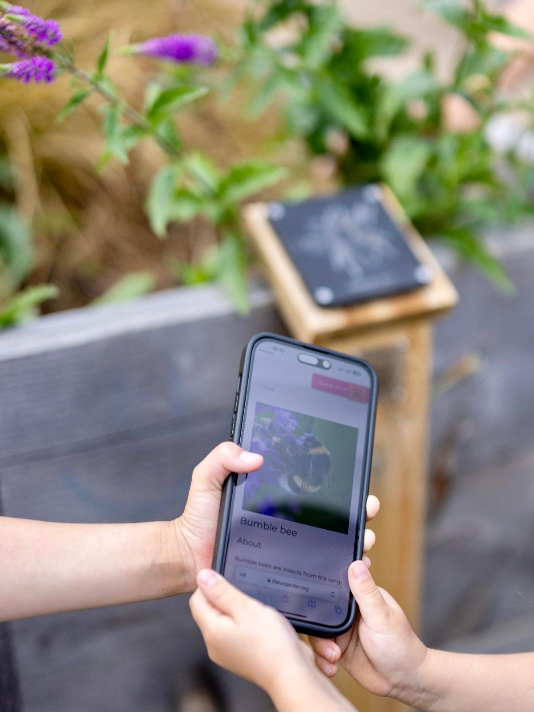 smartphone scanning QR code of nature plaque, showing information about that wildlife