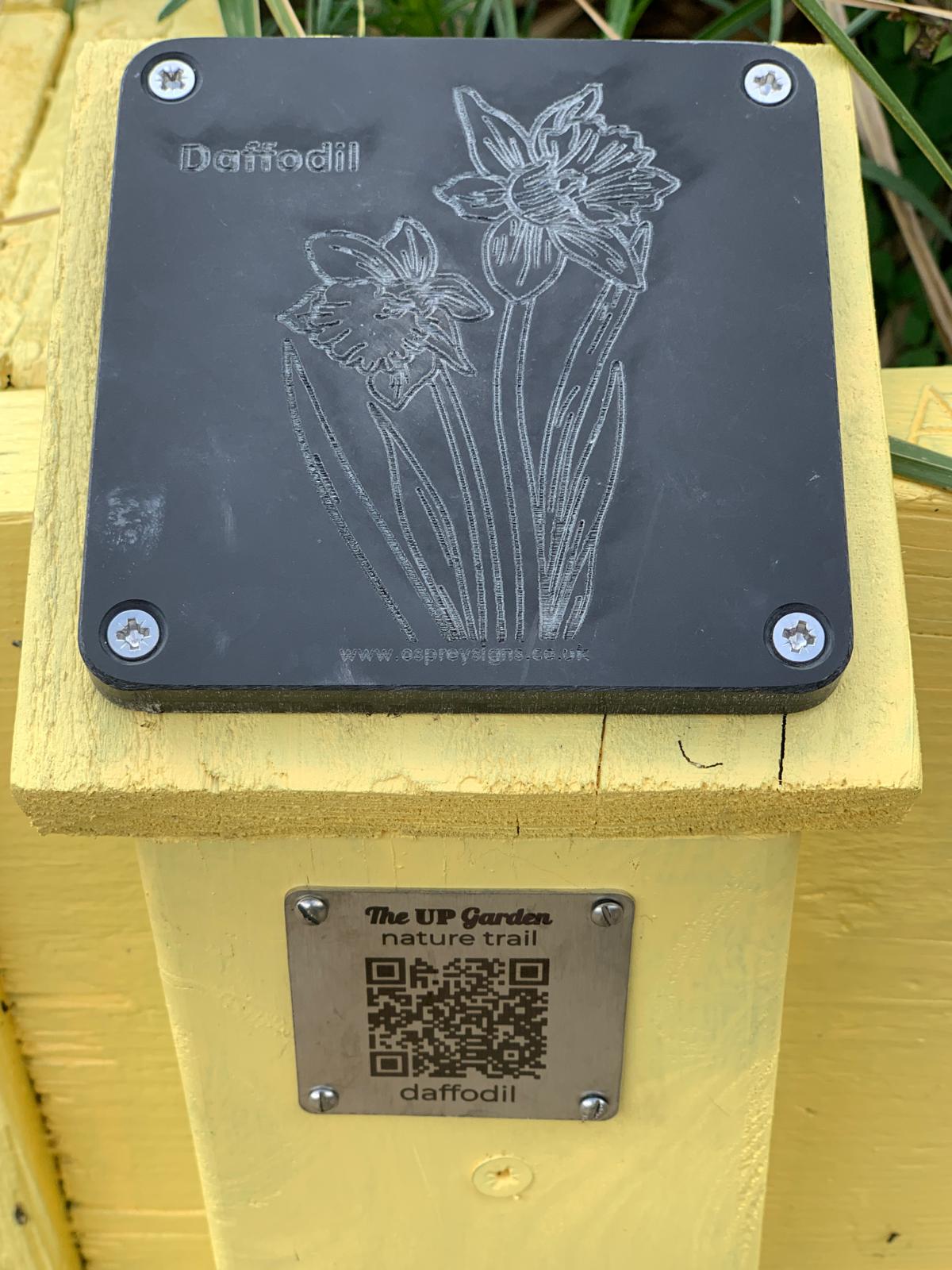 plaque featuring an etching of a daffodil, with a QR code underneath, both installed on a planter
